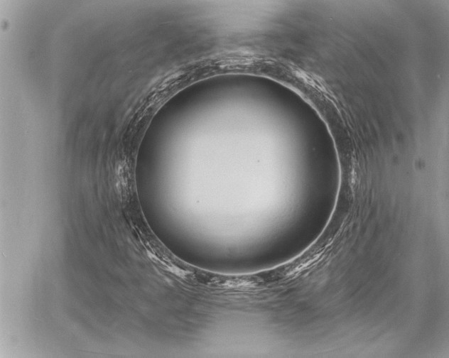 X0000060741445200511141121