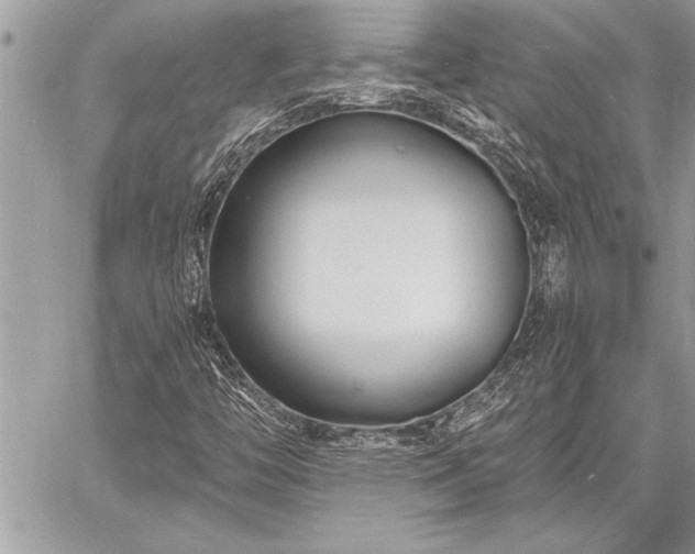 X0000060741446200511141121