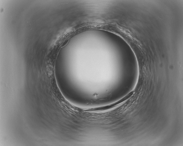 X0000060741447200511141120