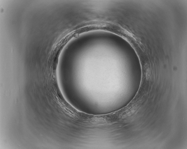 X0000060741448200511141120