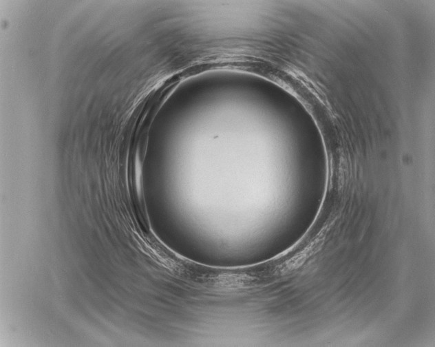 X0000060741449200511141120