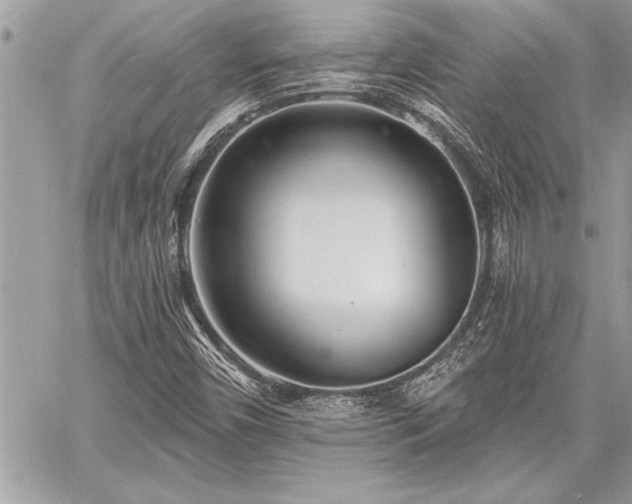 X0000060741450200511141120