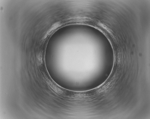 X0000060741451200511141120