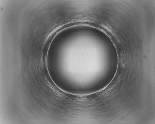 X0000060741452200511141120