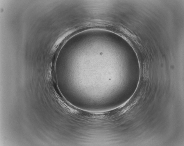 X0000060741453200511141120