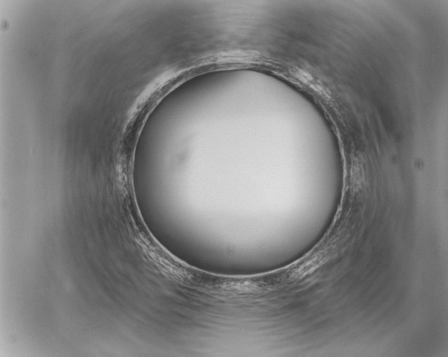 X0000060741454200511141120