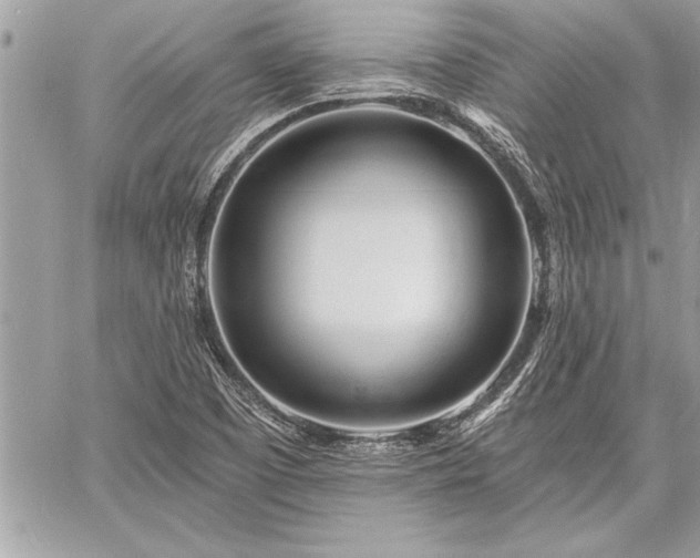 X0000060741457200511141120