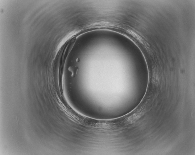 X0000060741458200511141120