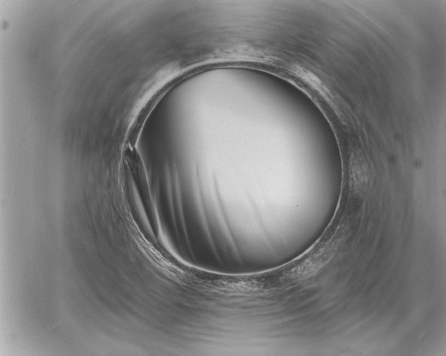 X0000060741460200511141120