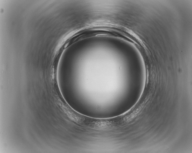 X0000060741461200511141120