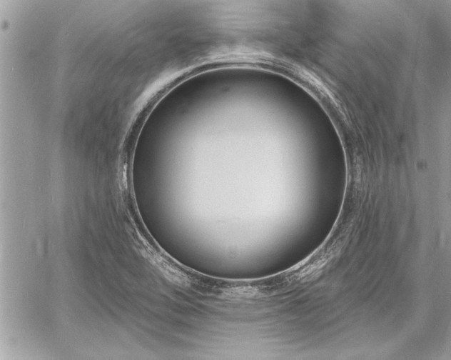 X0000060741462200511141120