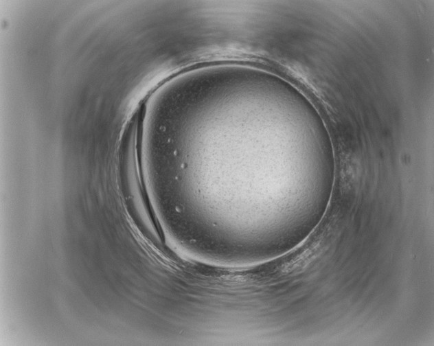 X0000060741463200511141120