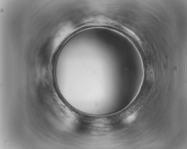 X0000060741464200511141120