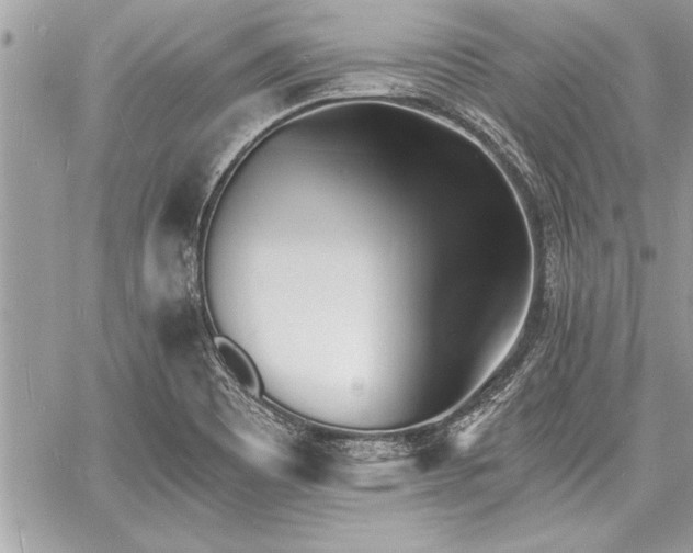 X0000060741465200511141120