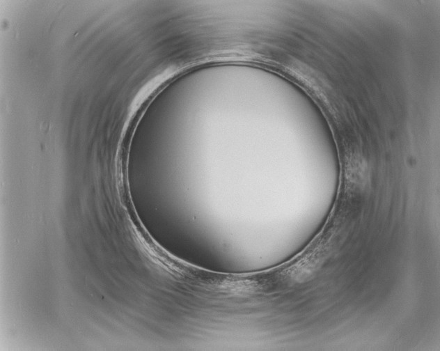 X0000060741466200511141120