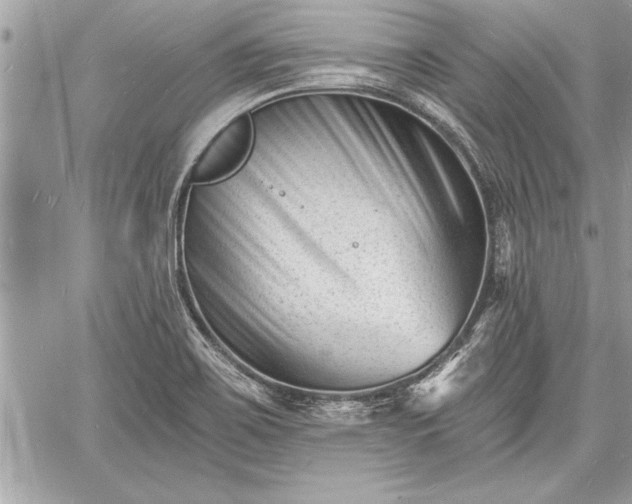 X0000060741467200511141120