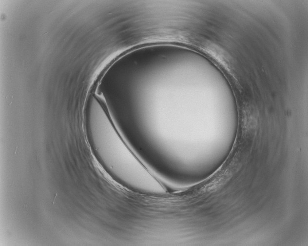 X0000060741468200511141120