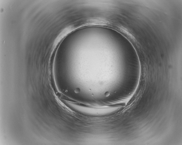 X0000060741471200511141120