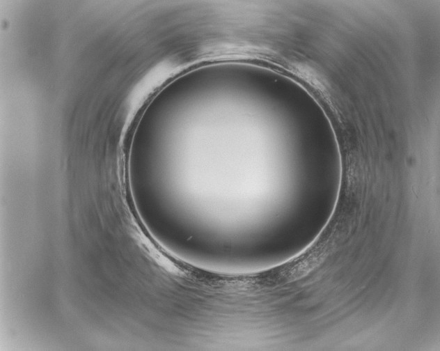 X0000060741472200511141120