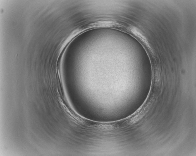 X0000060741473200511141120