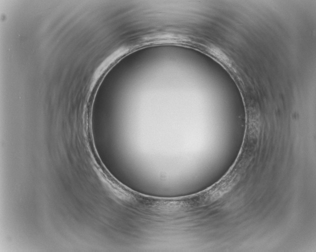 X0000060741474200511141120