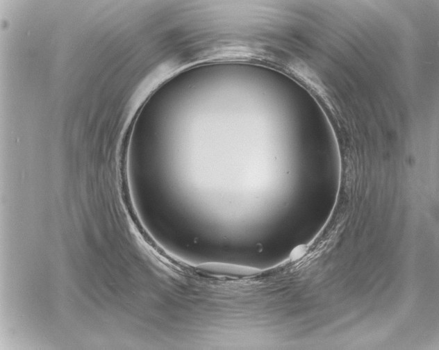 X0000060741475200511141120