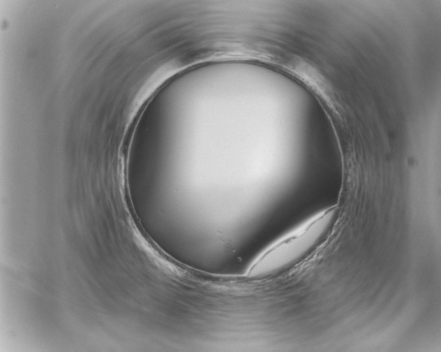 X0000060741476200511141120