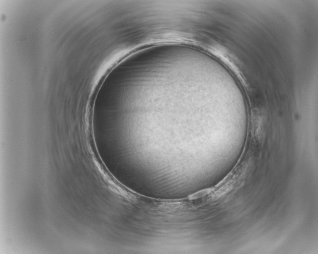 X0000060741477200511141120