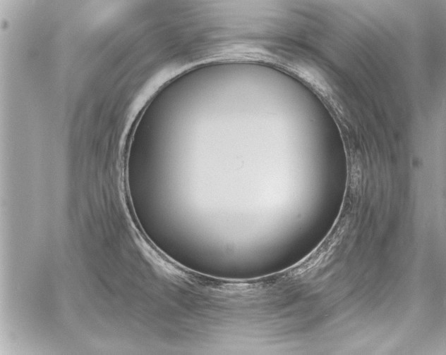 X0000060741478200511141120