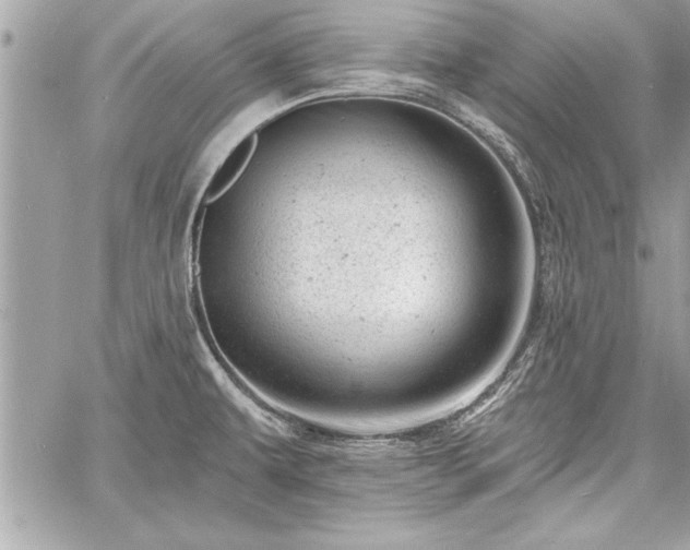 X0000060741479200511141120