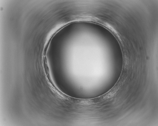 X0000060741480200511141120