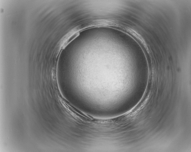 X0000060741481200511141120