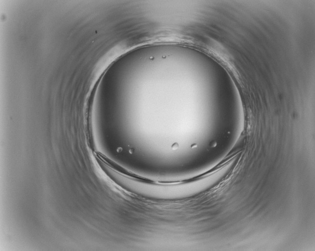 X0000060741483200511141120