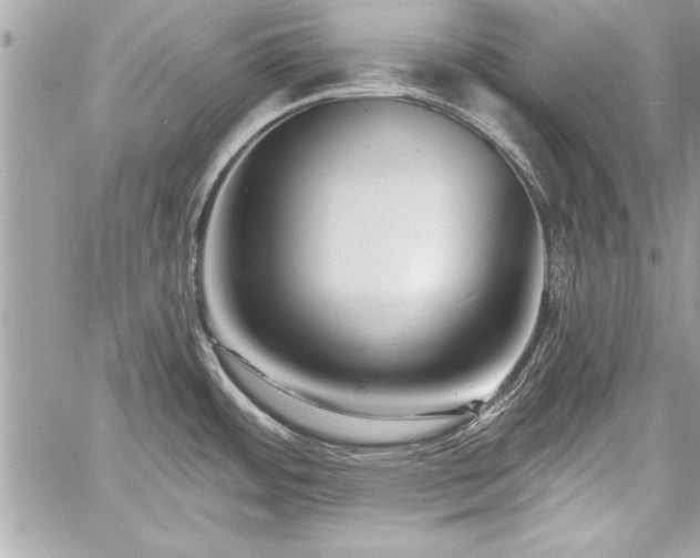 X0000060741484200511141120