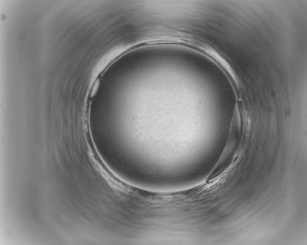 X0000060741485200511141120