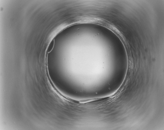 X0000060741487200511141120