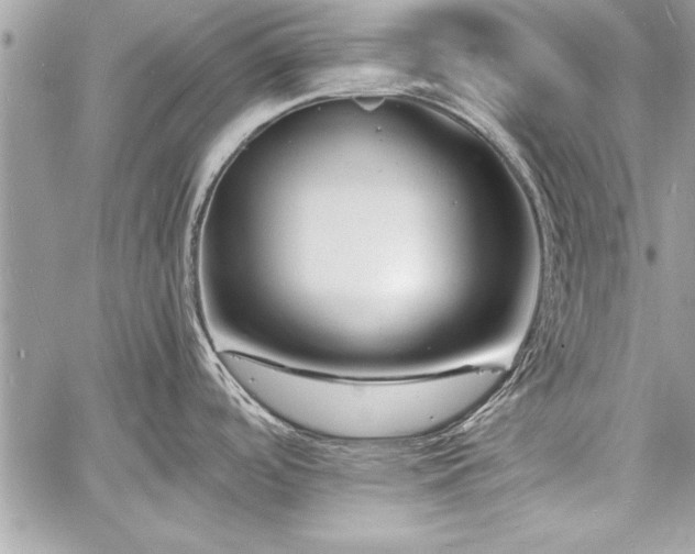 X0000060741488200511141120