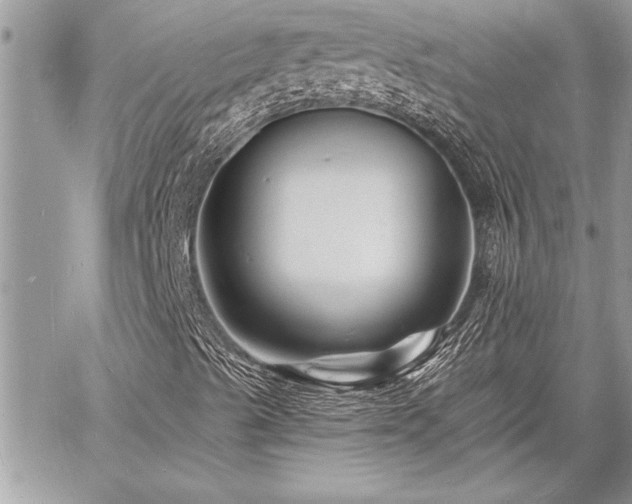 X0000060741489200511141119