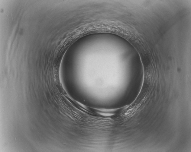 X0000060741490200511141119