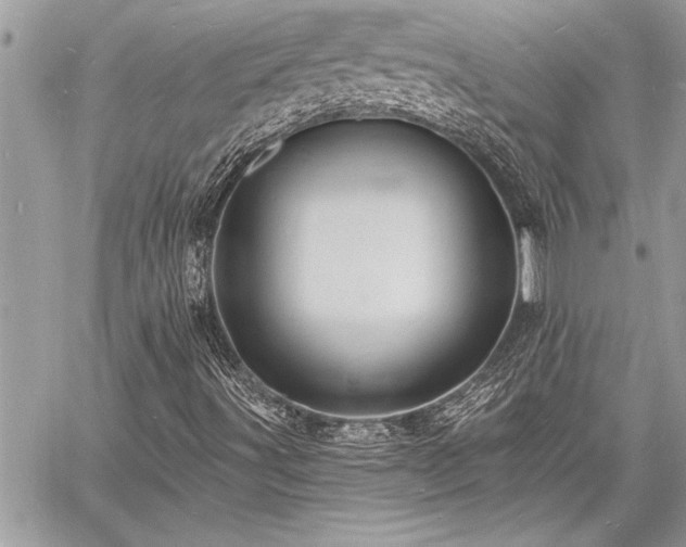 X0000060741491200511141119