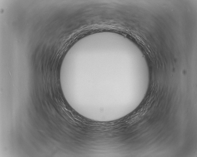 X0000060741492200511141119