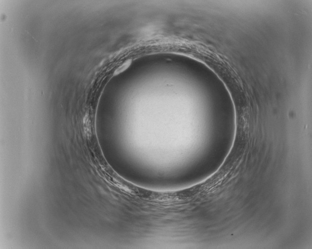 X0000060741493200511141119