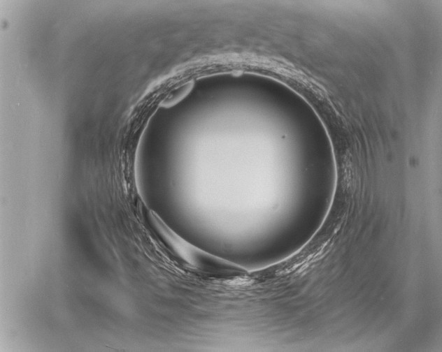 X0000060741494200511141119