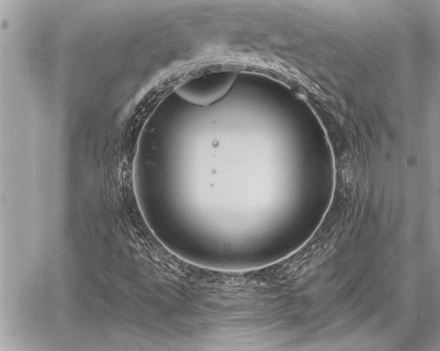 X0000060741495200511141119