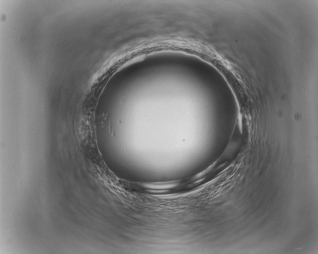 X0000060741496200511141119