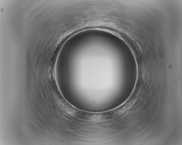 X0000060741497200511141119