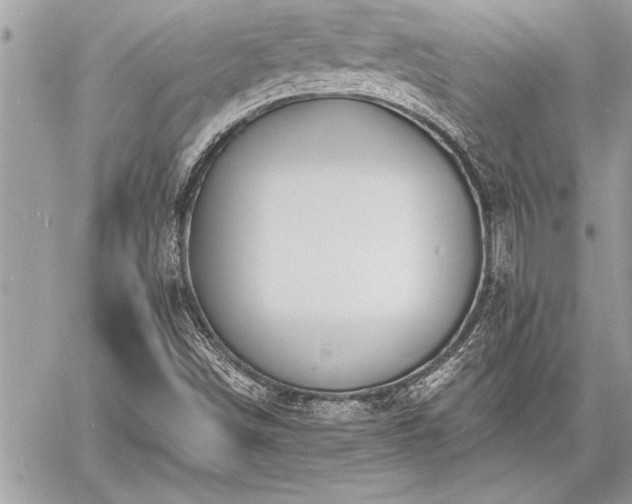 X0000060741498200511141119