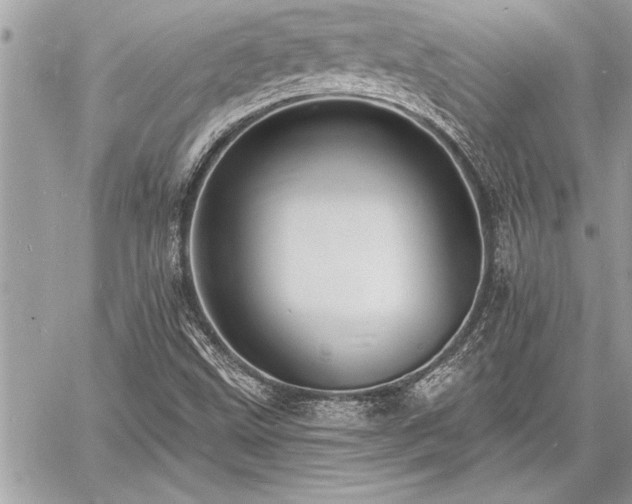 X0000060741499200511141119