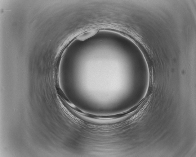 X0000060741500200511141119