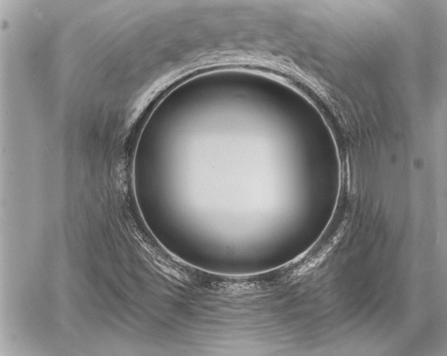 X0000060741501200511141119